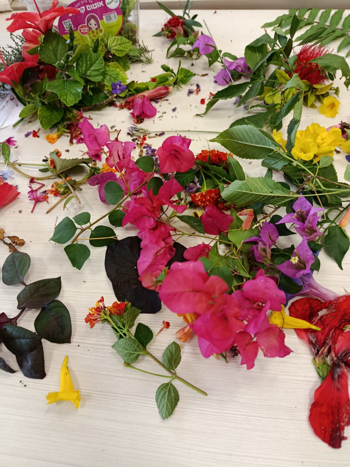 WhatsApp Image 2025-11-03 at 22.26.18